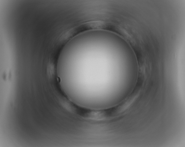 X0000113910117200909241517