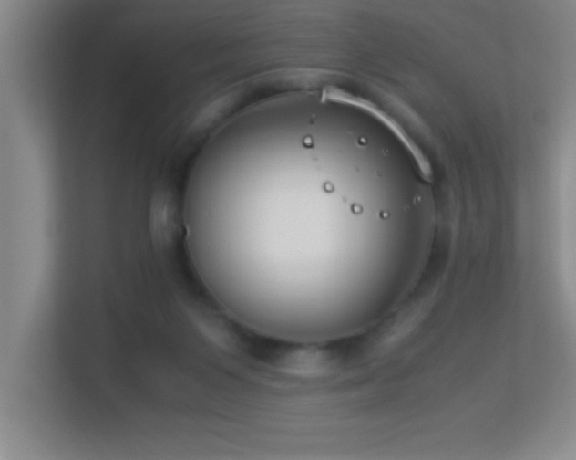 X0000113910119200909241517