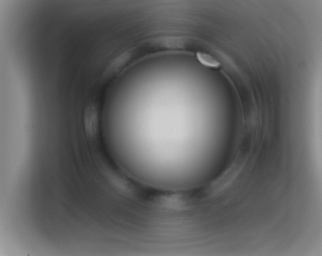 X0000113910120200909241517