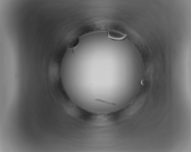 X0000113910121200909241517