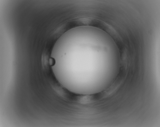 X0000113910122200909241517