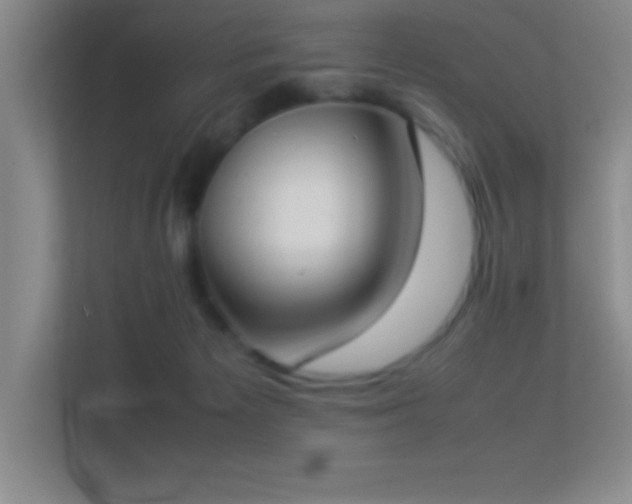 X0000113910125200909241517
