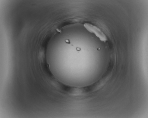 X0000113910127200909241517