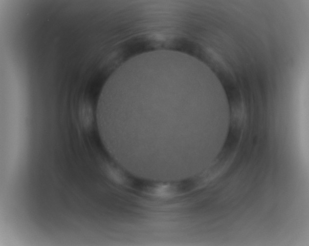 X0000113910130200909241517