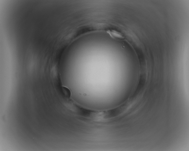 X0000113910131200909241517
