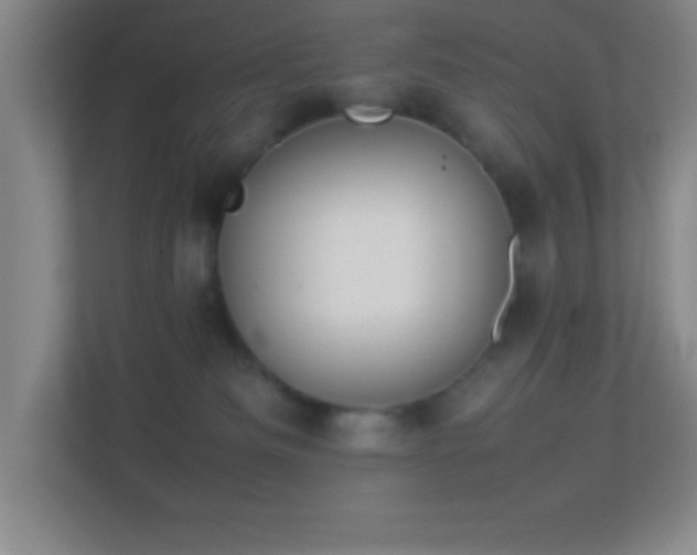 X0000113910133200909241517