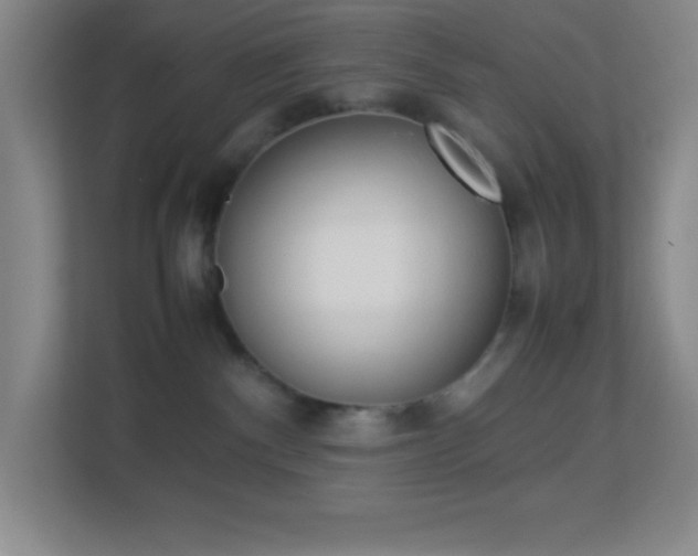 X0000113910140200909241517