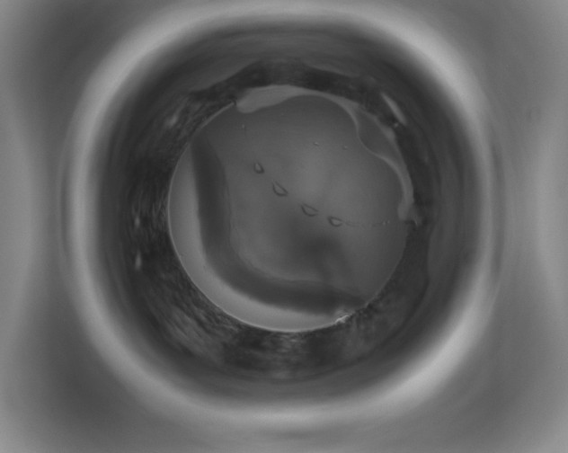 X0000113910143200909241517