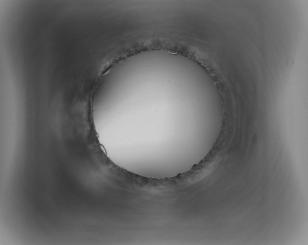X0000113910144200909241517