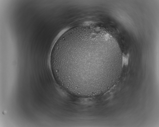 X0000113910147200909241516