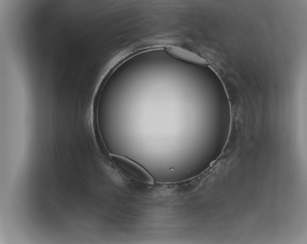 X0000113910148200909241516
