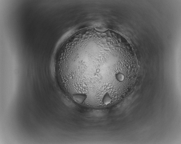 X0000113910149200909241516