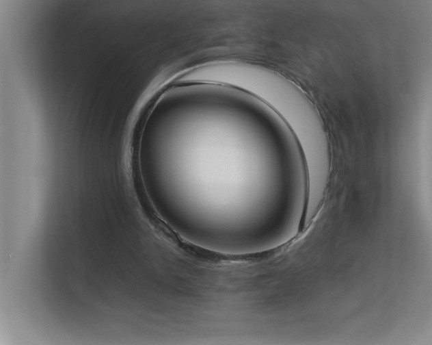 X0000113910150200909241516