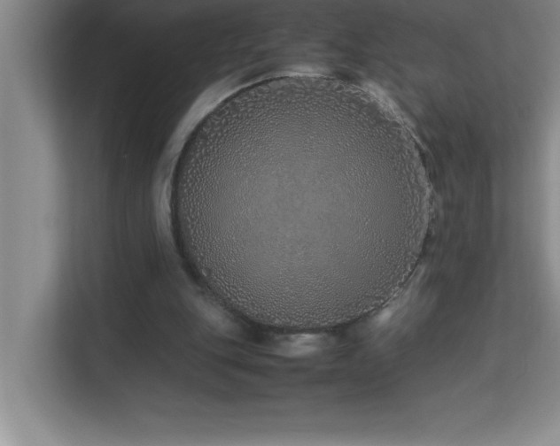 X0000113910151200909241516