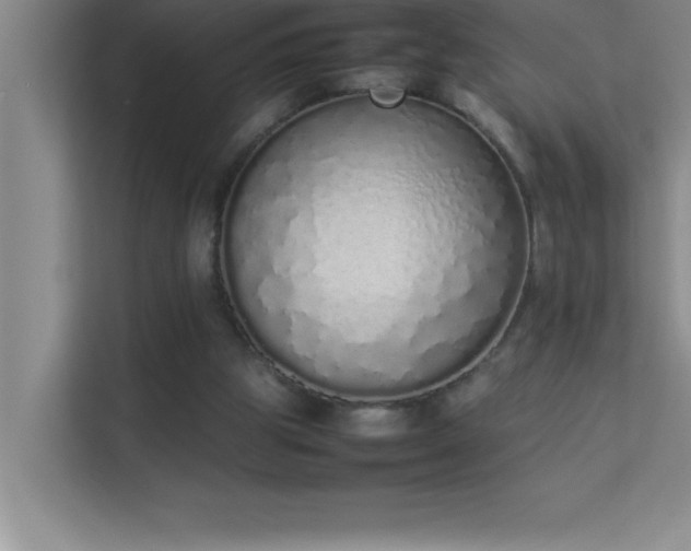 X0000113910153200909241516