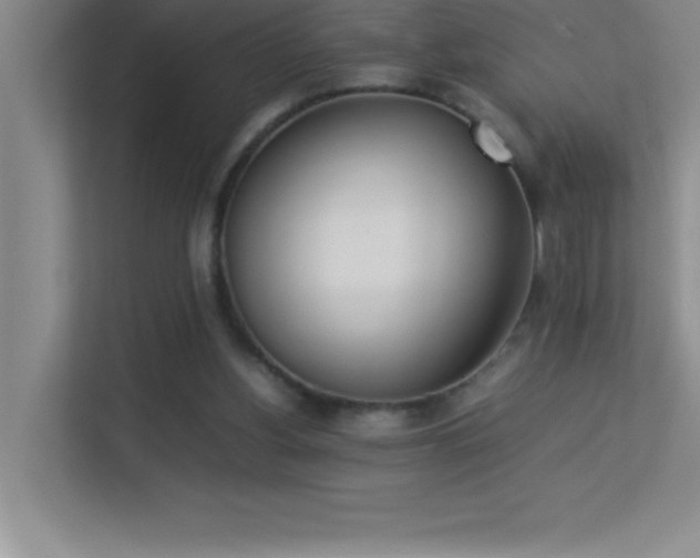 X0000113910156200909241516