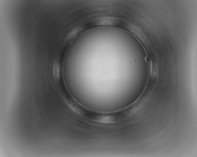 X0000113910157200909241516