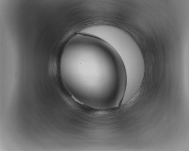 X0000113910158200909241516