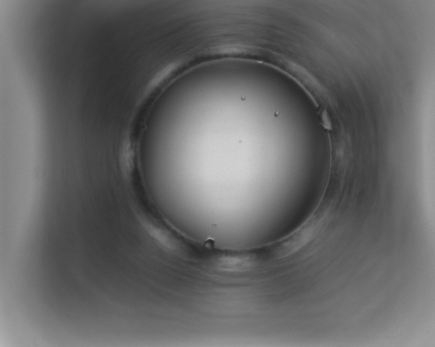 X0000113910160200909241516