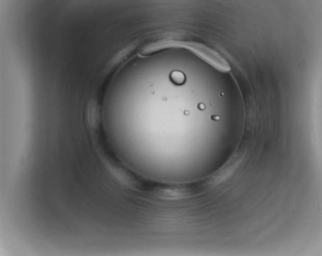 X0000113910164200909241516