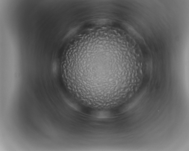 X0000113910165200909241516