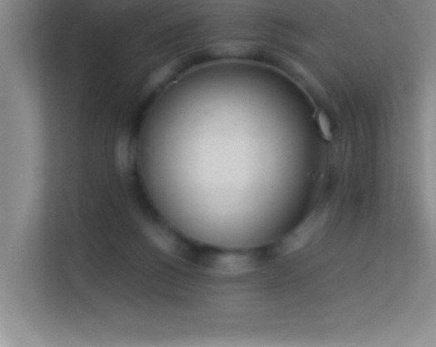 X0000113910168200909241517