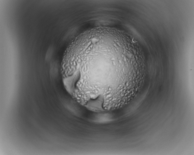 X0000113910169200909241517