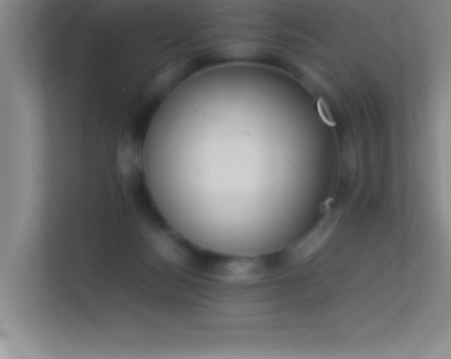 X0000113910172200909241517