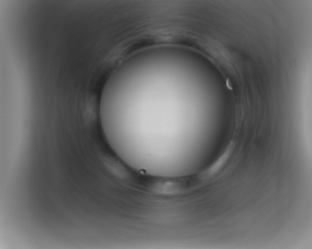 X0000113910174200909241517
