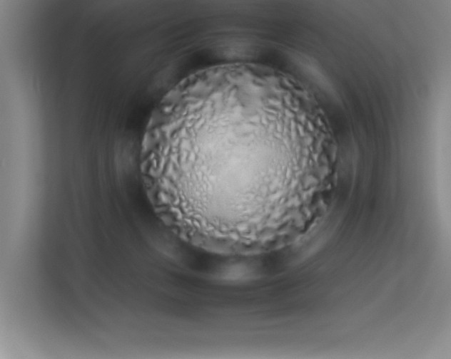 X0000113910175200909241517