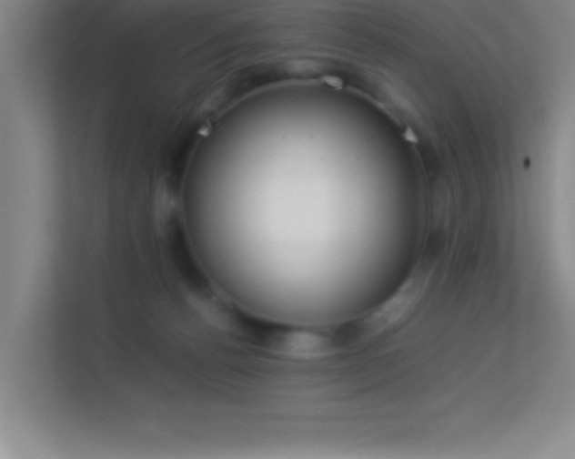 X0000113910176200909241517