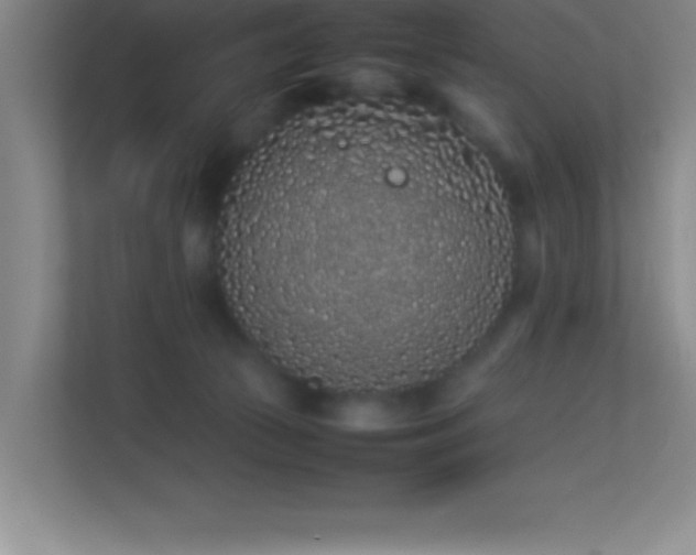 X0000113910177200909241517