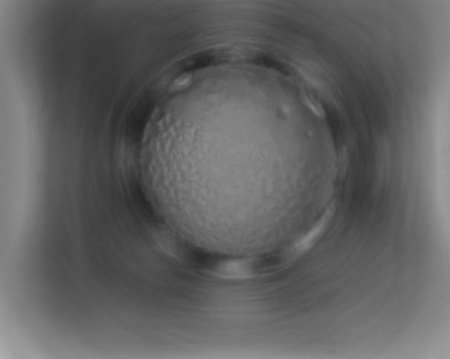 X0000113910178200909241517