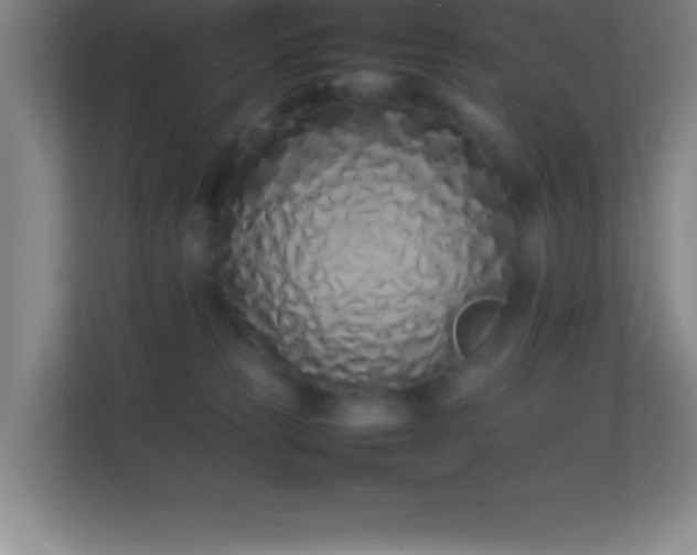 X0000113910181200909241517