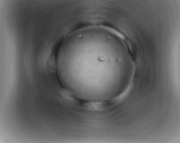 X0000113910182200909241517