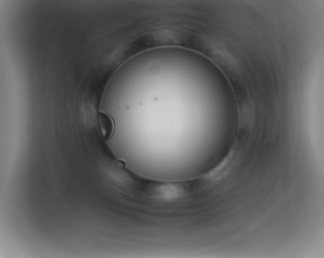 X0000113910183200909241517