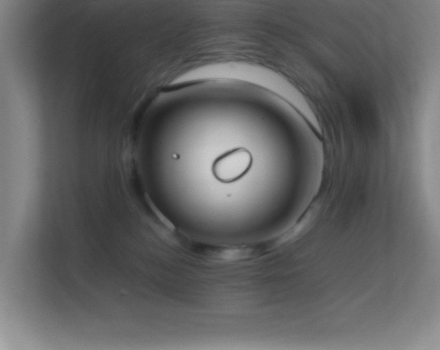 X0000113910184200909241517