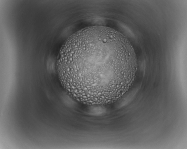 X0000113910185200909241517