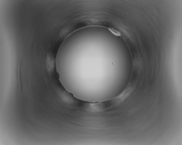 X0000113910188200909241517