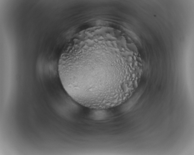 X0000113910189200909241517