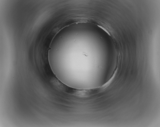 X0000113910190200909241517