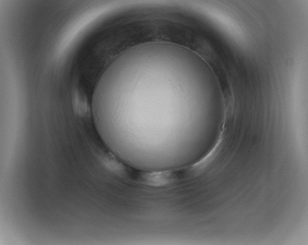 X0000113910191200909241517