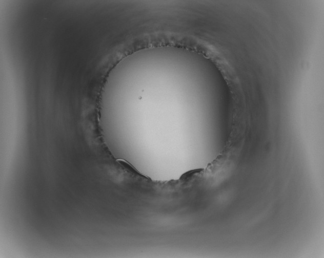 X0000113910192200909241517