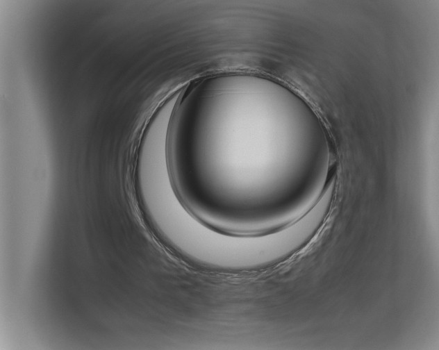 X0000113910193200909241516