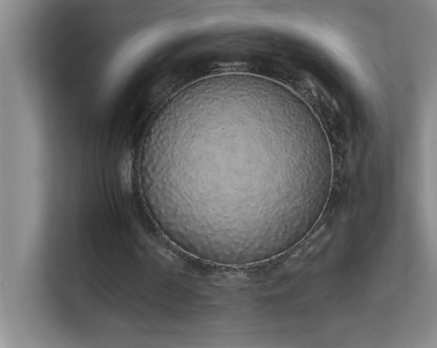 X0000113910194200909241516
