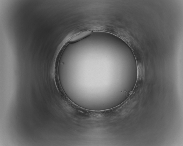 X0000113910195200909241516