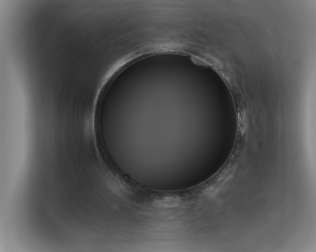 X0000113910196200909241516