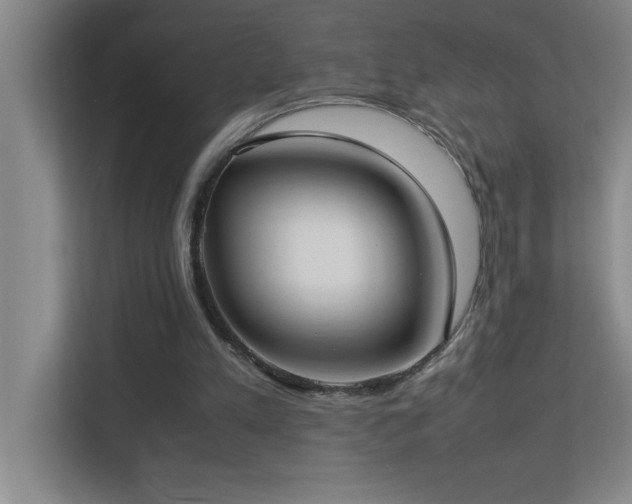 X0000113910197200909241516