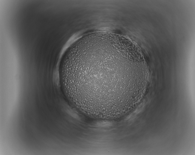 X0000113910198200909241516