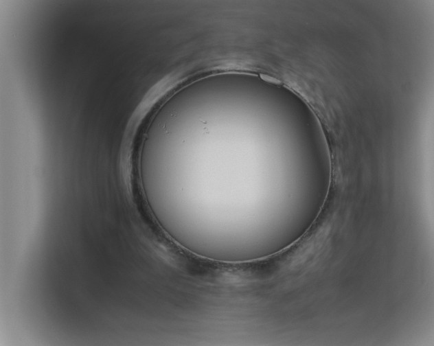 X0000113910199200909241516